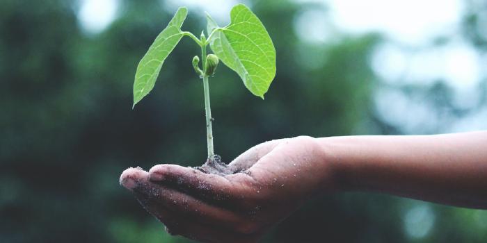 Terraform (Part 2) : First Deploy