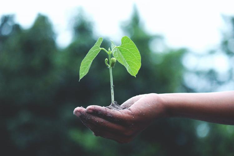 Terraform (Part 2) : First Deploy
