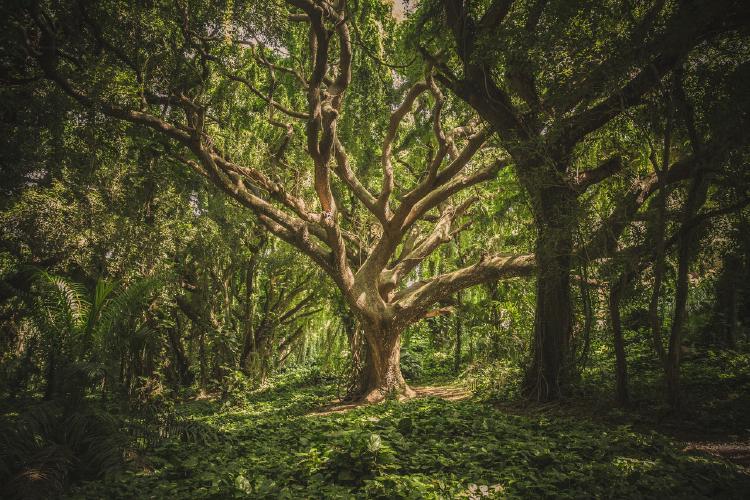 Terraform (Part 3) : Structure